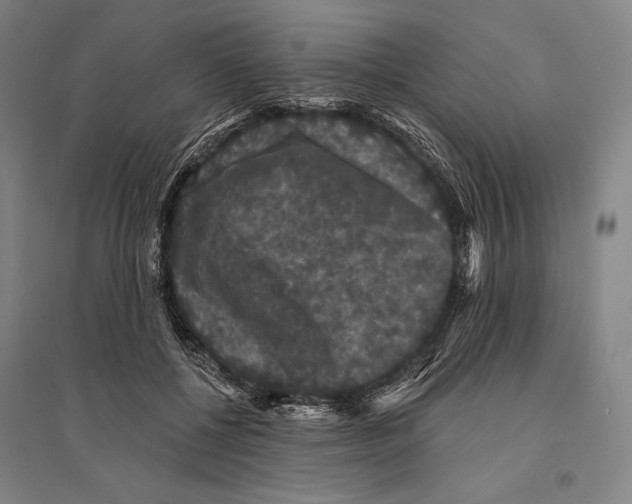 X0000095510552200801111415