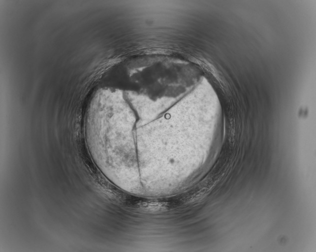 X0000095510553200801111415