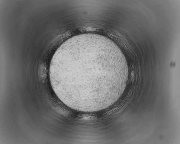 X0000095510555200801111415