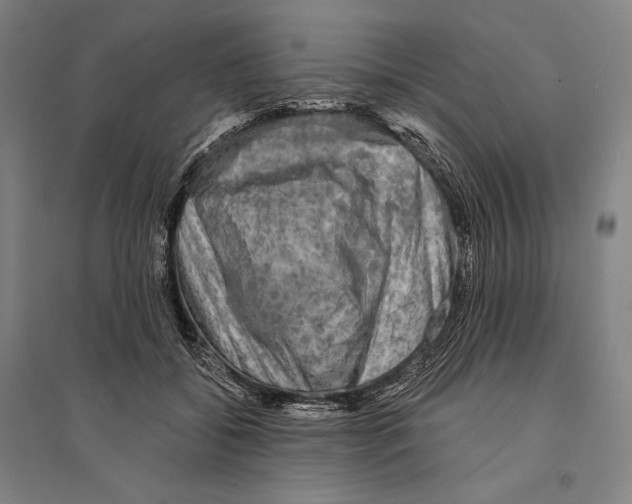 X0000095510556200801111415