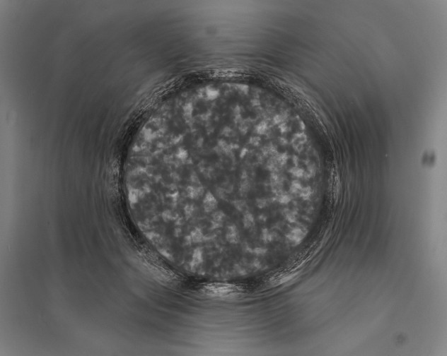 X0000095510557200801111415