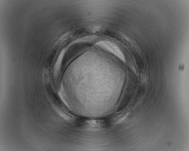X0000095510558200801111415