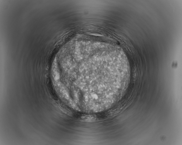 X0000095510559200801111415