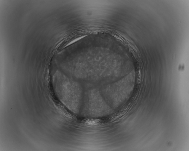 X0000095510560200801111415