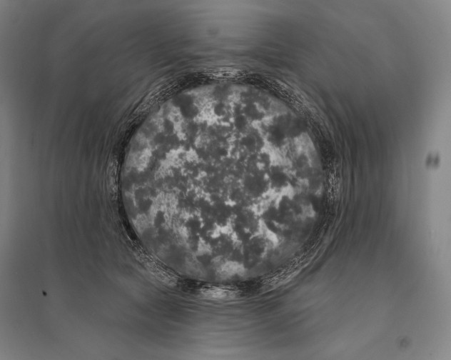 X0000095510561200801111415