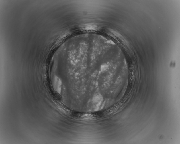 X0000095510562200801111415