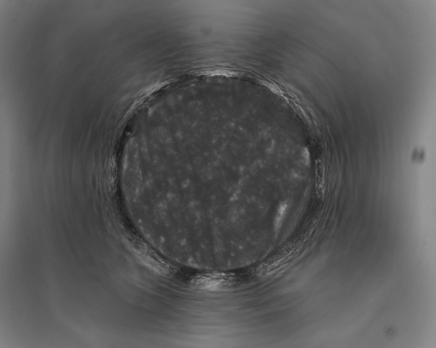 X0000095510563200801111415