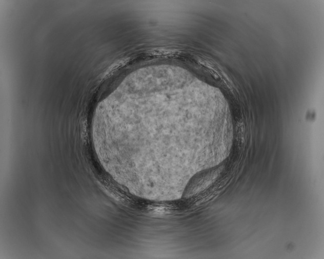 X0000095510564200801111415