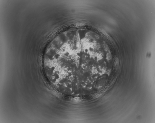 X0000095510565200801111415