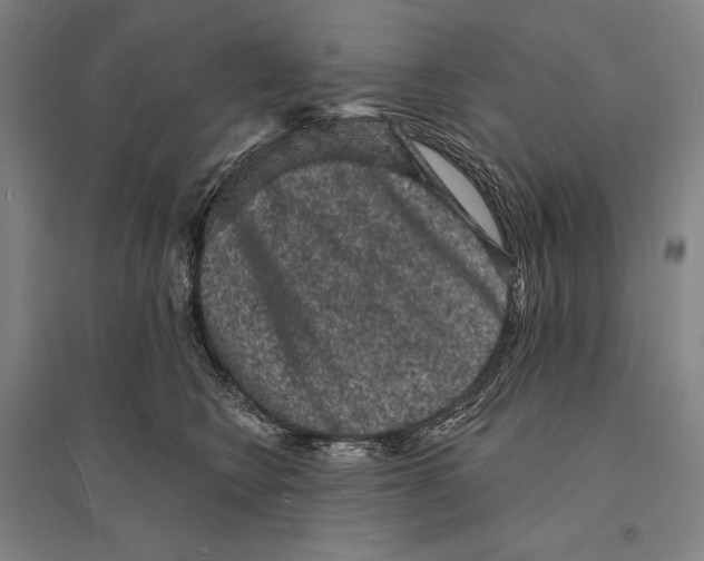 X0000095510566200801111415