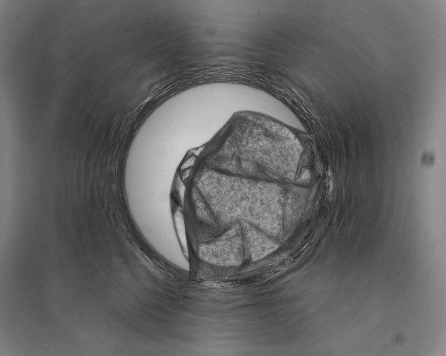 X0000095510568200801111415