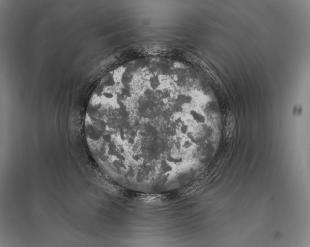 X0000095510569200801111415
