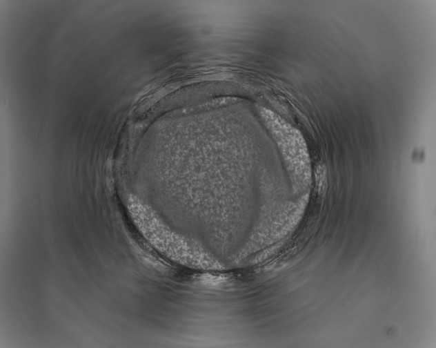 X0000095510570200801111415