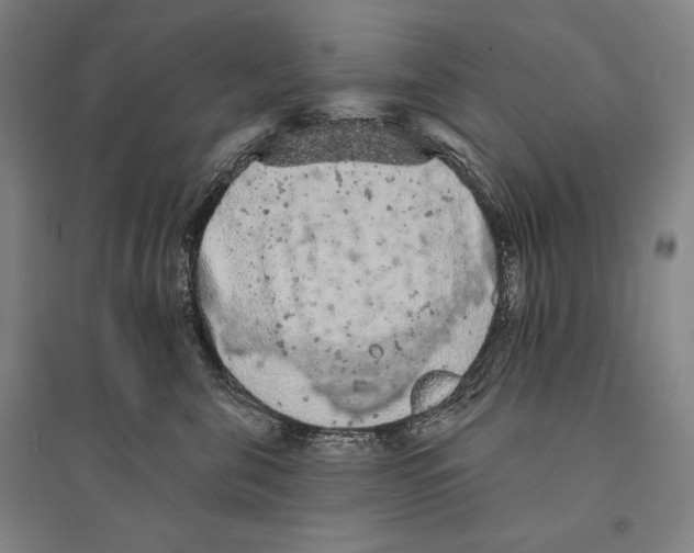 X0000095510571200801111415