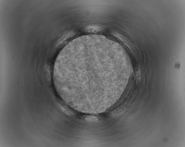 X0000095510572200801111415