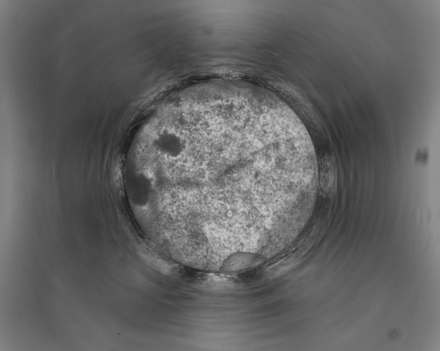 X0000095510573200801111415