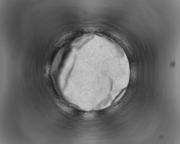 X0000095510574200801111415