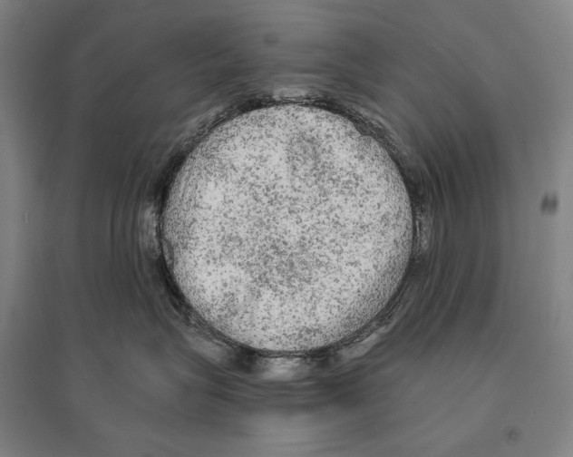 X0000095510575200801111415