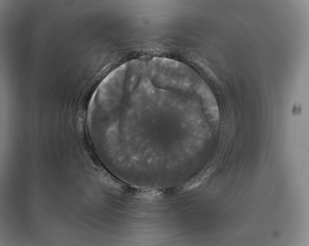 X0000095510576200801111415
