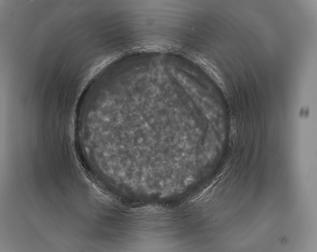 X0000095510578200801111415