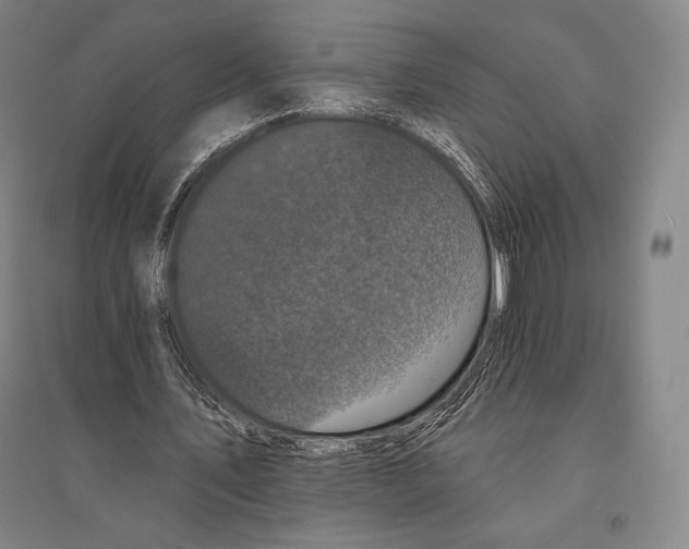 X0000095510579200801111415
