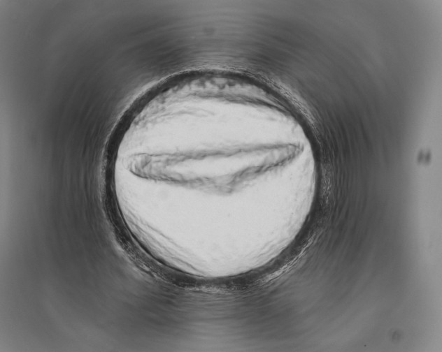 X0000095510580200801111415