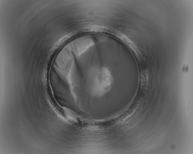 X0000095510581200801111415