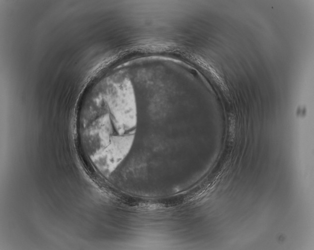 X0000095510582200801111415