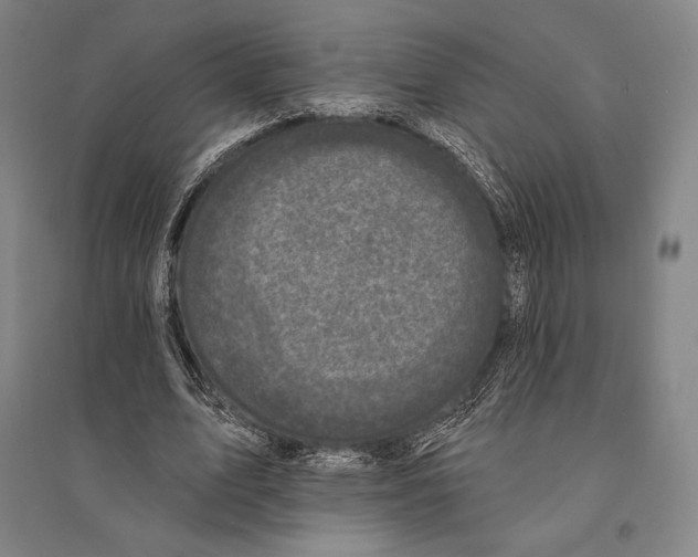 X0000095510583200801111415