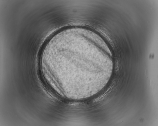 X0000095510584200801111415