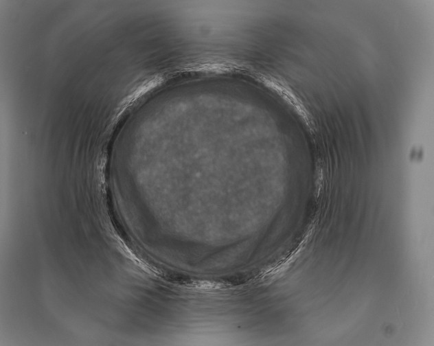 X0000095510585200801111415