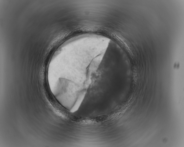 X0000095510586200801111415