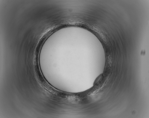 X0000095510587200801111415