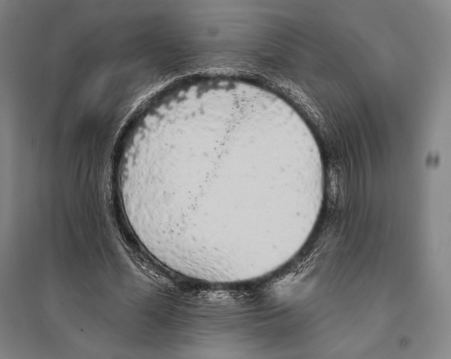 X0000095510588200801111415