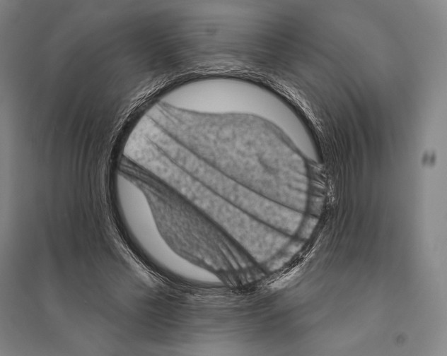 X0000095510589200801111415
