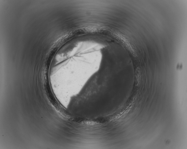 X0000095510590200801111415