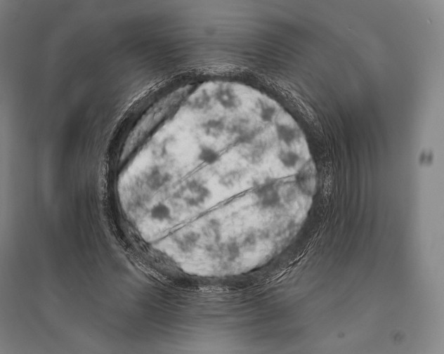 X0000095510591200801111415