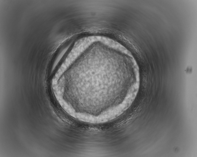 X0000095510592200801111415