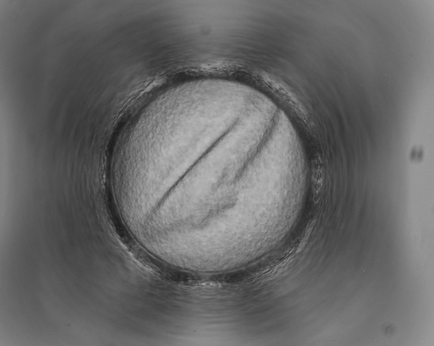 X0000095510593200801111415