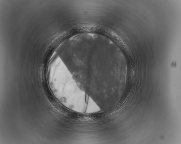 X0000095510594200801111415