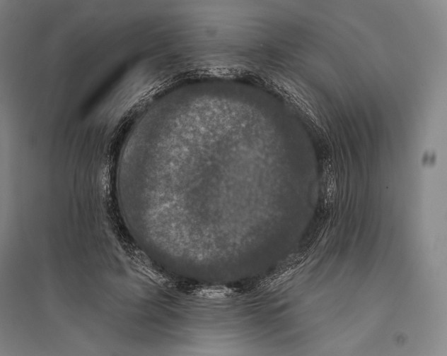 X0000095510595200801111415