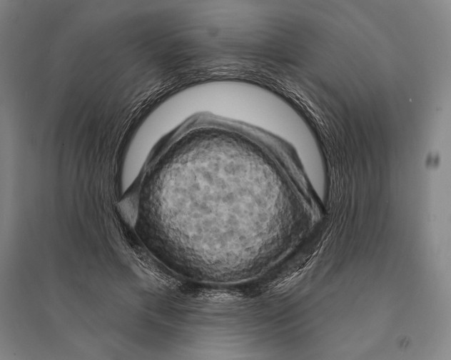 X0000095510597200801111415