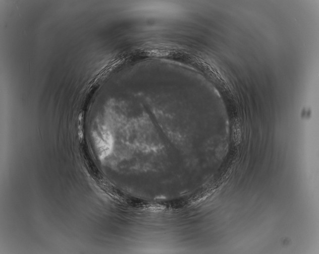 X0000095510598200801111415