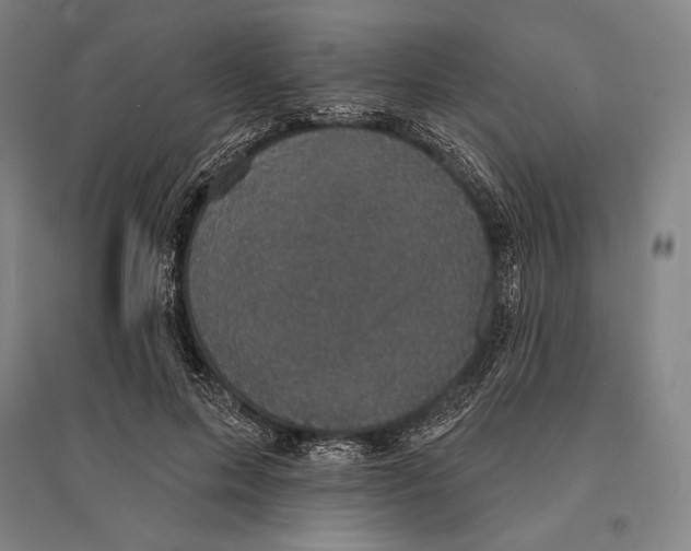 X0000095510599200801111415