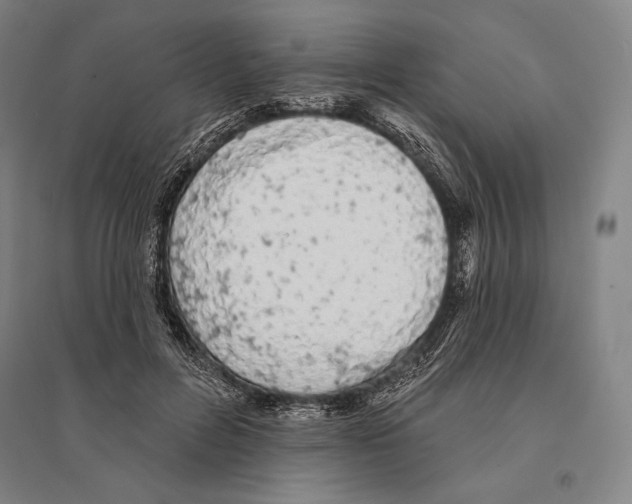 X0000095510600200801111414