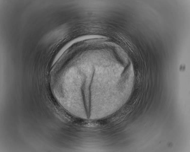 X0000095510601200801111414