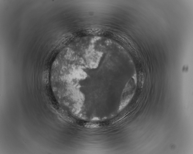 X0000095510602200801111414