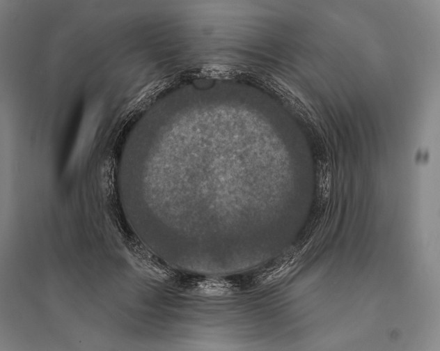 X0000095510603200801111414