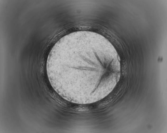 X0000095510604200801111414
