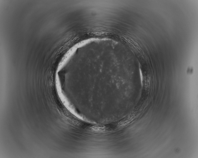X0000095510606200801111414